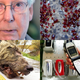 Clockwise from top left: Timothy D. Easley (AP); Jeff Camaratti (Getty Images); Getty Images; Albert Protopopov.